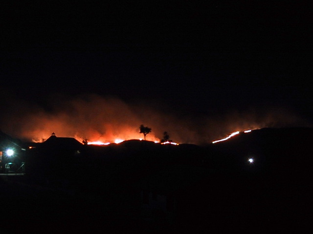 Wild Fires