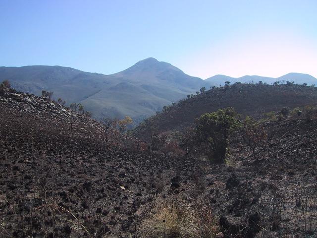 Another View