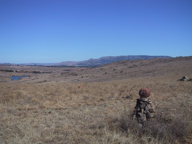 The Landscape Has Several Scapes