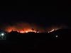 Wild Fires